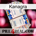 Kanagra kamagra1